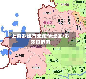 上海罗泾有无疫情地区/罗泾镇范围-第3张图片