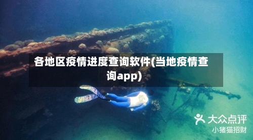 各地区疫情进度查询软件(当地疫情查询app)-第1张图片