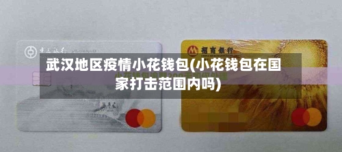 武汉地区疫情小花钱包(小花钱包在国家打击范围内吗)-第1张图片