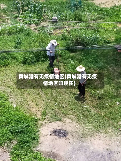 黄城港有无疫情地区(黄城港有无疫情地区吗现在)