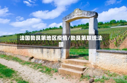 法国勃艮第地区疫情/勃艮第联统法国-第2张图片