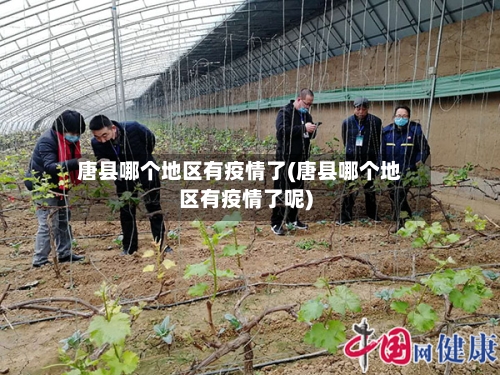 唐县哪个地区有疫情了(唐县哪个地区有疫情了呢)-第2张图片