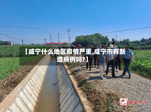 【咸宁什么地区疫情严重,咸宁市有新增病例吗?】