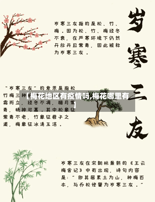 【梅花地区有疫情吗,梅花哪里有】-第1张图片