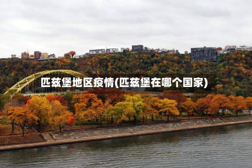 匹兹堡地区疫情(匹兹堡在哪个国家)-第1张图片