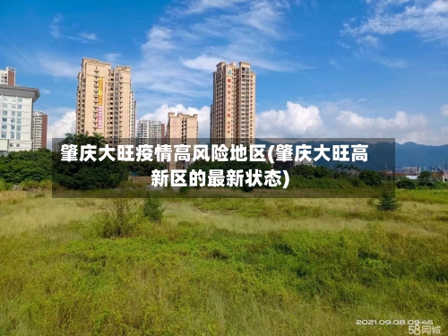 肇庆大旺疫情高风险地区(肇庆大旺高新区的最新状态)-第1张图片