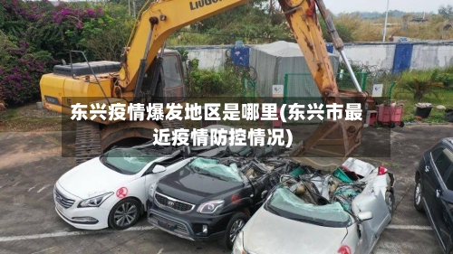 东兴疫情爆发地区是哪里(东兴市最近疫情防控情况)-第2张图片