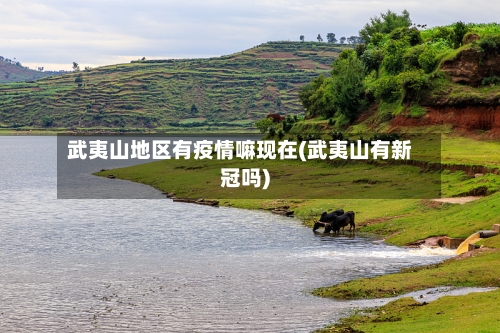 武夷山地区有疫情嘛现在(武夷山有新冠吗)-第1张图片