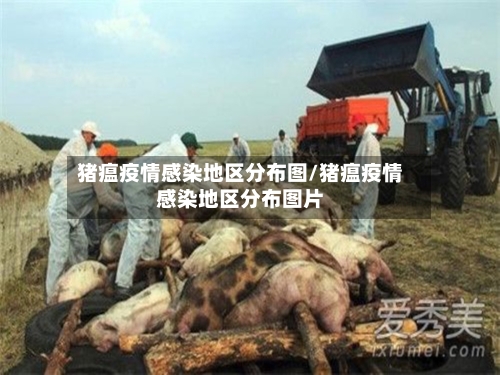 猪瘟疫情感染地区分布图/猪瘟疫情感染地区分布图片-第1张图片