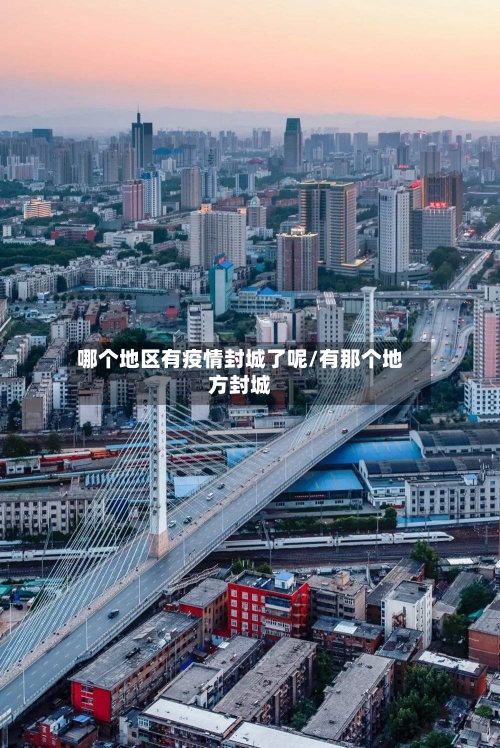哪个地区有疫情封城了呢/有那个地方封城-第2张图片