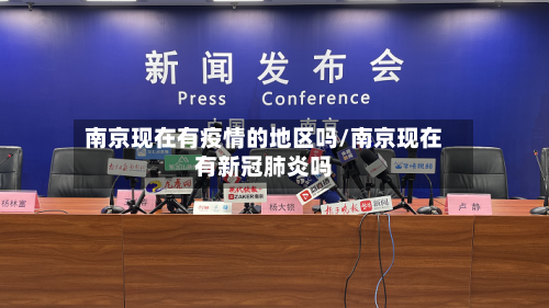 南京现在有疫情的地区吗/南京现在有新冠肺炎吗-第2张图片