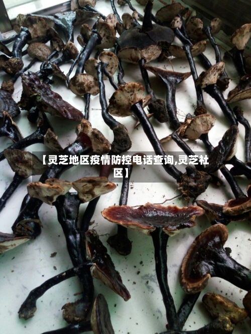【灵芝地区疫情防控电话查询,灵芝社区】-第1张图片
