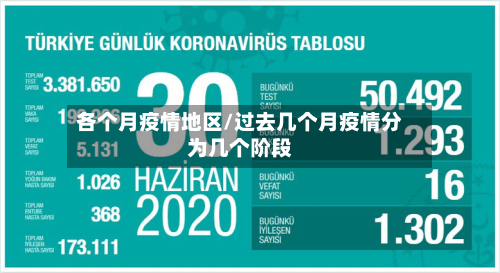 各个月疫情地区/过去几个月疫情分为几个阶段-第1张图片