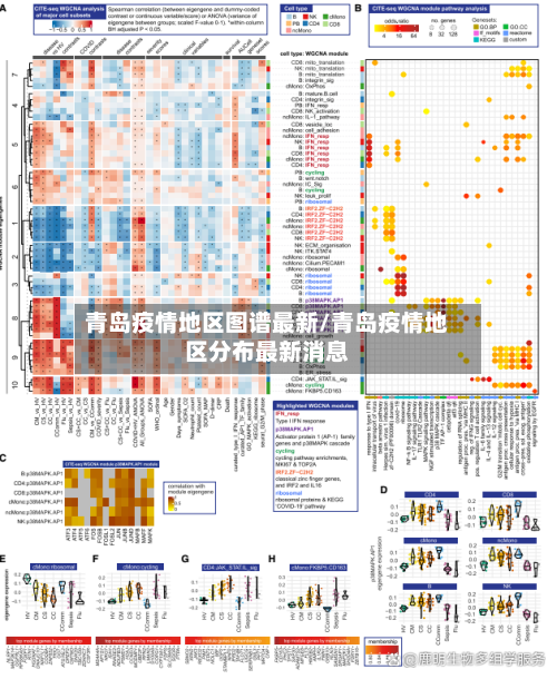 青岛疫情地区图谱最新/青岛疫情地区分布最新消息-第3张图片