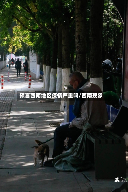 预言西南地区疫情严重吗/西南现象-第1张图片